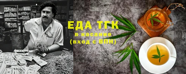 амф Верхний Тагил