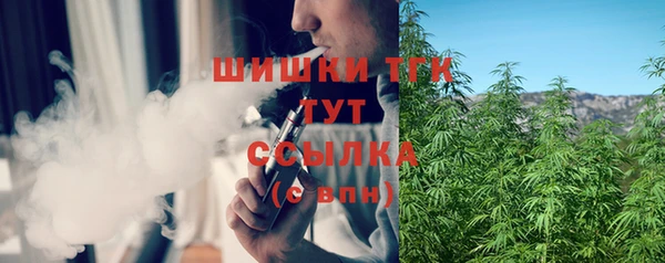 тгк Снежногорск