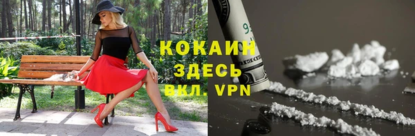 амф Верхний Тагил