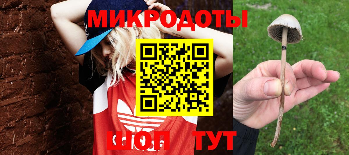 Галлюциногенные грибы прущие грибы Гагарин