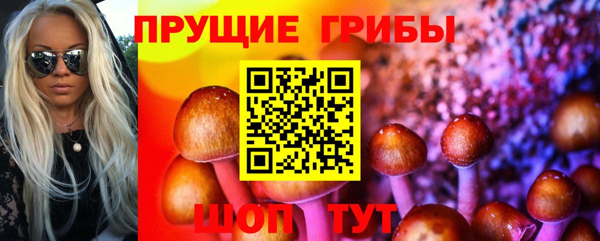 Гагарин  Псилоцибиновые грибы Psilocybine cubensis  Вход с VPN  Псилоцибиновые грибы Psilocybe 